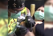 Wala lang sa kanila yan Pro sila, pero pag ako tigas burat panigurado
