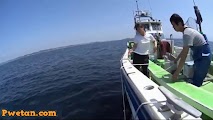 Masarap na Isda ang kanyang nahuli