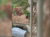 Pagtanaw ko sa bintana ito ang nakita