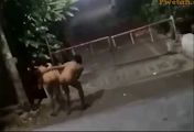 Hoy! Ginagawa nyo?