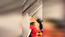 Ninjutsu ng isang ninja