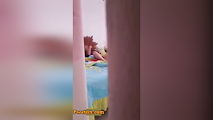 Ang panimula bago planohing tikman si Tita