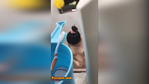 Ninjakol in action sa masarap na kapitbahay