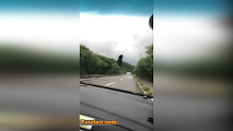 Road Trip Tsikot tsikot yot yot