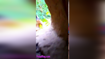 Misteryong nilalang sa likod ng aming bahay