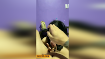 Dinala sa kwarto, pinaluhod, pinasubo at binayo