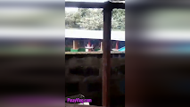 Marites na naka X50 ang Zoom