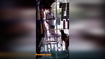 Lakas trip nampucha