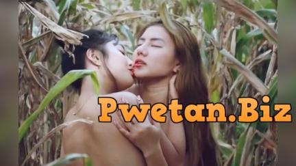 February 14 marami ang pupunta sa maisan para mag siping